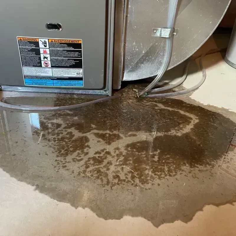 Appliance Leak Cleanup in Kiryas Joel, NY